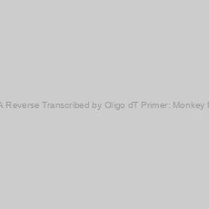 Image of Universal cDNA Reverse Transcribed by Oligo dT Primer: Monkey Normal Tissues